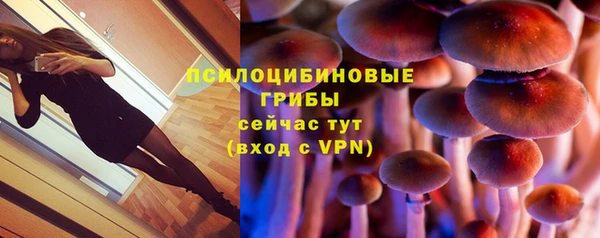шишки Костерёво