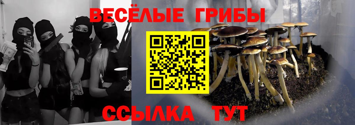 Псилоцибиновые грибы ЛСД Янаул
